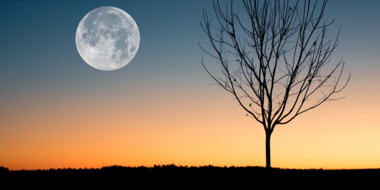 Rituais e práticas para potencializar sua energia