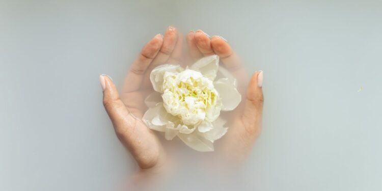 limpeza energética para o ano novo