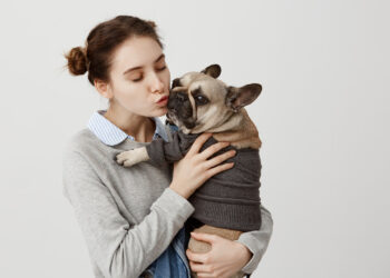 signos e animais de estimação