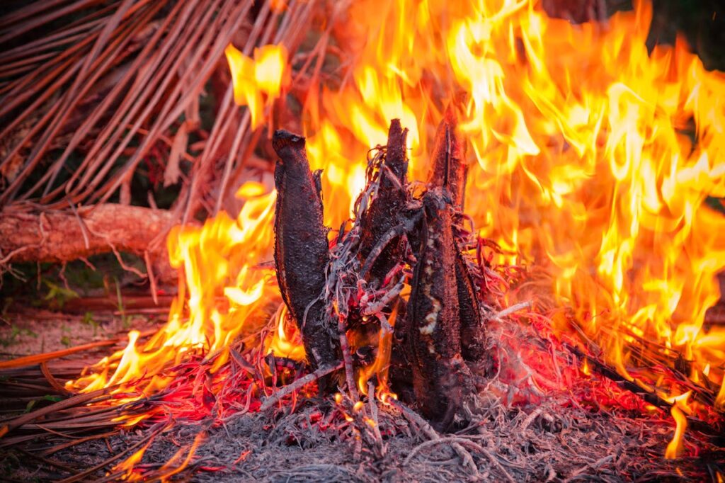 Sonhar com Fogo: Paixão, Raiva ou Transformação à Vista?